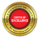 centre-of-excellence.webp